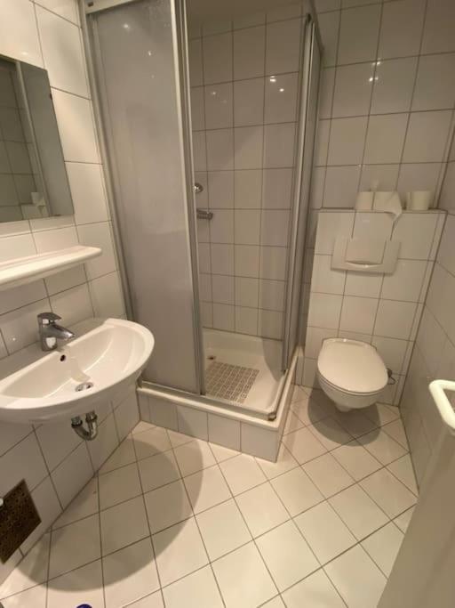 50 Qm Zentral In Domnaehe Appartement